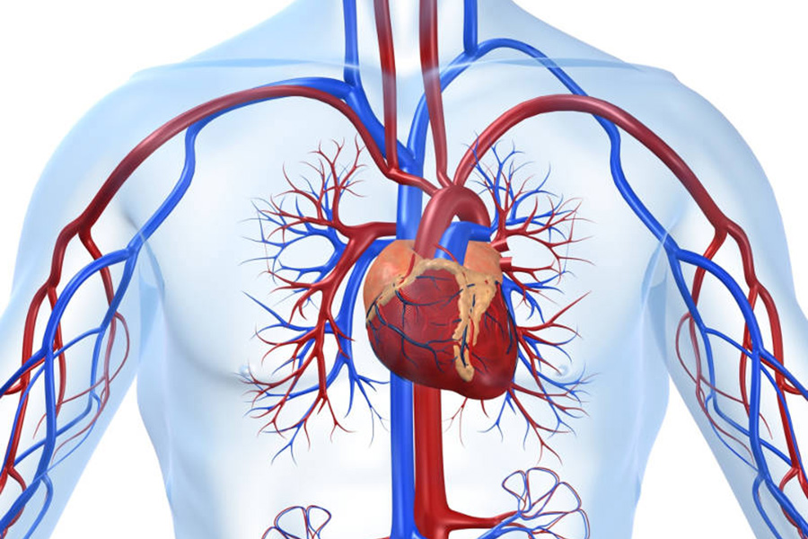 Cardiologia-Intervencionista